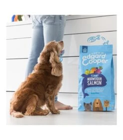 Edgard & Cooper Adult Carne Fresca Di Salmone Norvegese Senza Cereali 7 Kg -Negozio Di Animali Per Cani edgard cooper adult carne fresca di salmone norvegese senza cereali 7 kg 3
