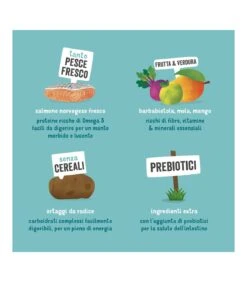 Edgard & Cooper Adult Carne Fresca Di Salmone Norvegese Senza Cereali 7 Kg -Negozio Di Animali Per Cani edgard cooper adult carne fresca di salmone norvegese senza cereali 7 kg 5