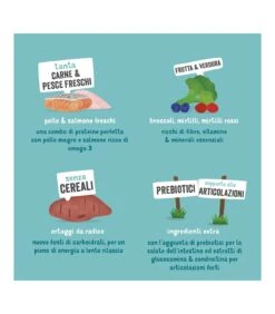 Edgard & Cooper Senior Carne Fresca Di Pollo Allevato A Terra E Salmone Norvegese Senza Cereali 7 Kg -Negozio Di Animali Per Cani edgard cooper senior carne fresca di pollo allevato a terra e salmone norvegese senza cereali 7 kg 4