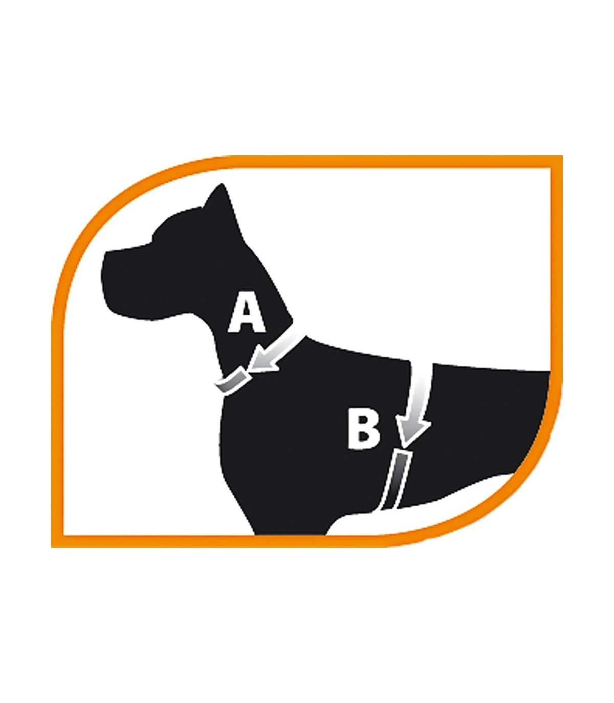 Ferplast Ergocomfort Nordic 3 Pettorina Con Maniglia 2 Ferplast Ergocomfort Nordic 3 Pettorina Con Maniglia - immagine 2