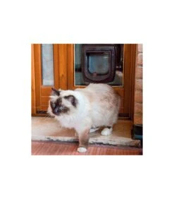 Ferplast Swing Microchip Marrone -Negozio Di Animali Per Cani ferplast swing microchip marrone 2