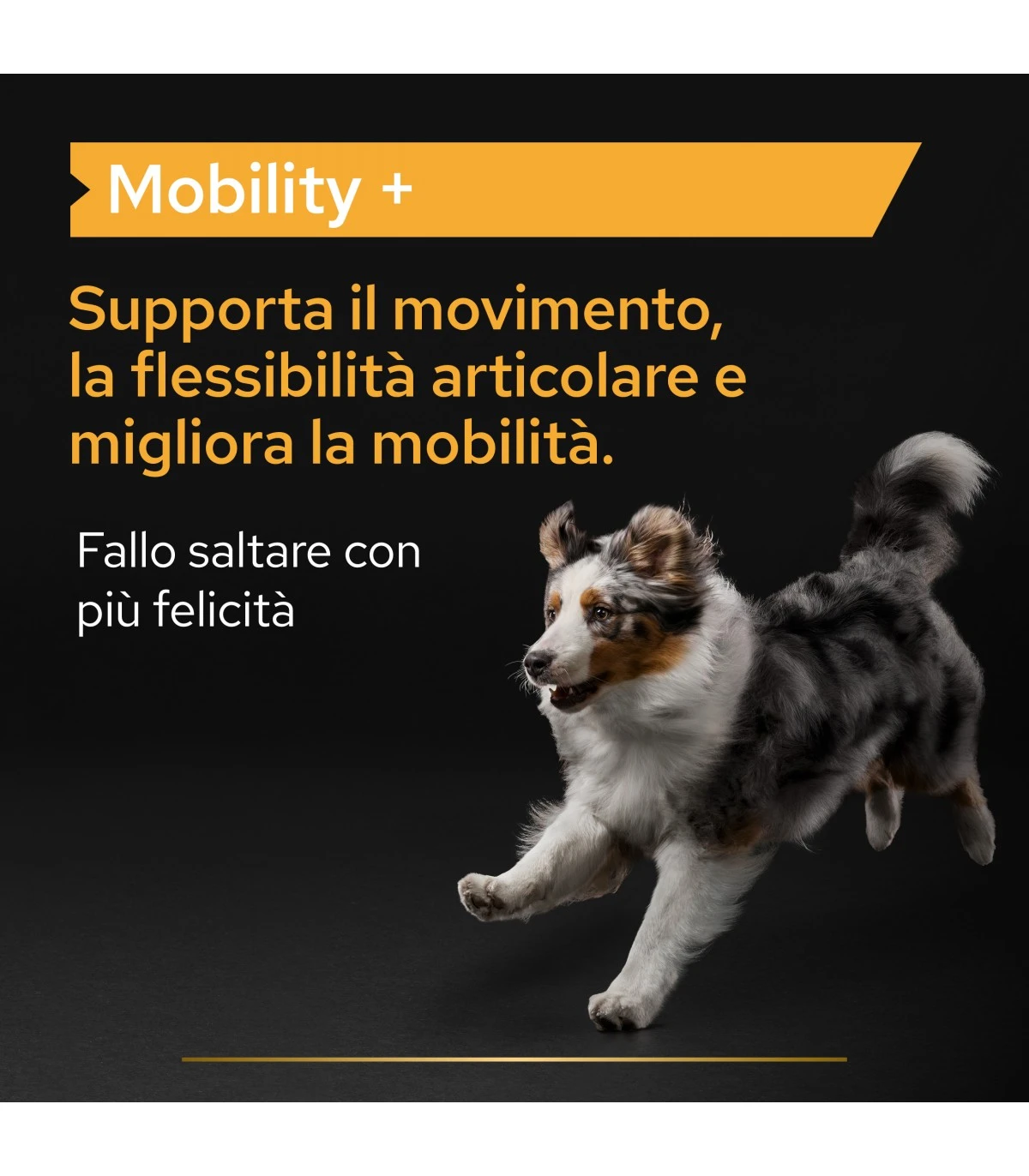PURINA PRO PLAN Proplan Supplements Mobility + Cane 60 Gr 2 PURINA PRO PLAN Proplan Supplements Mobility + Cane 60 Gr - immagine 2